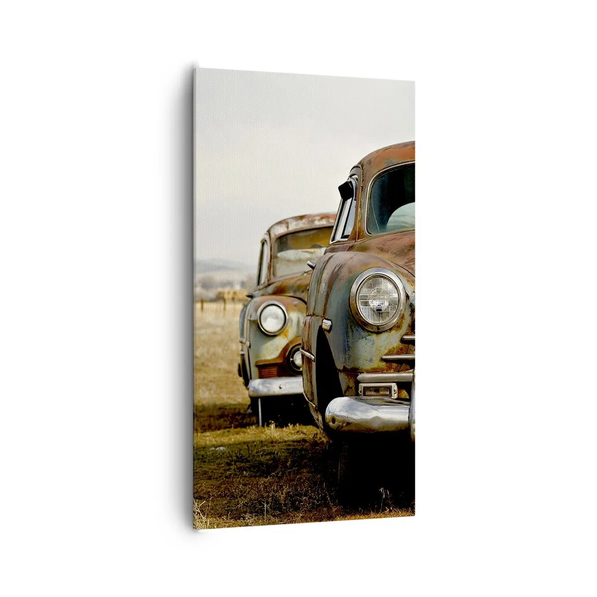 Cuadro sobre lienzo - Impresión de Imagen - Un merecido descanso - 65x120 cm