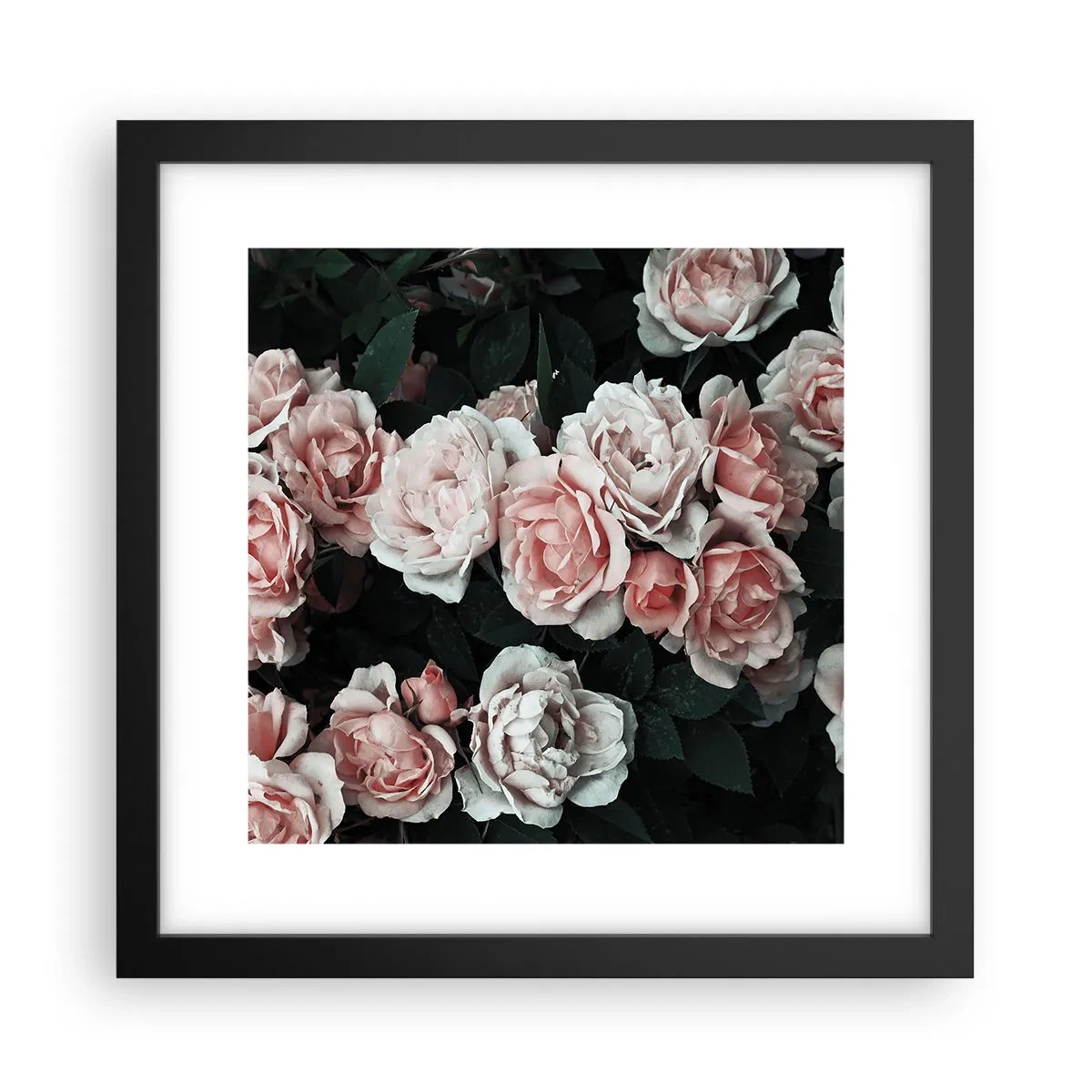 Póster en marco negro - Conjunto de rosas - 30x30 cm
