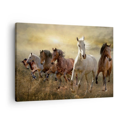 Cuadro sobre lienzo - Impresión de Imagen - Un grupo de caballos al galope con el sol poniente como telón de fondo. - 70x50cm - ¡Viva la libertad! - Decoración de pared moderna para salón y dormitorio ARTTOR