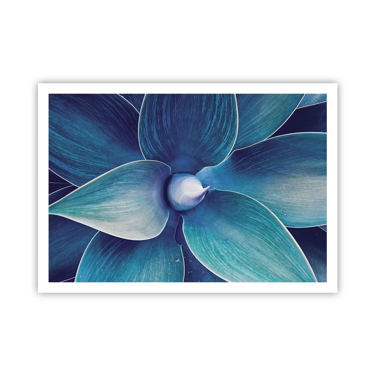 Póster - Primer plano de una flor abstracta en tonos azules. - 100x70cm - Azul del cielo - Decoración de pared moderna para salón y dormitorio ARTTOR