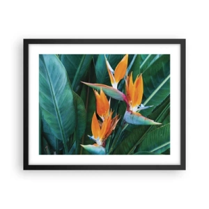 Póster en marco negro - ¿Es una flor o es un pájaro? - 50x40 cm