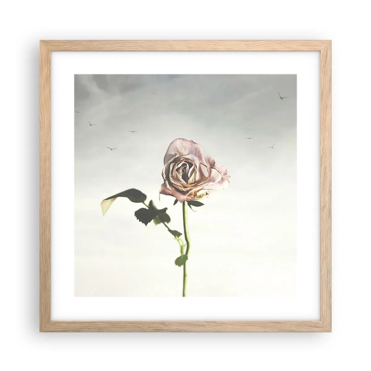 Póster en marco roble claro - Bienvenida a la primavera - 40x40 cm