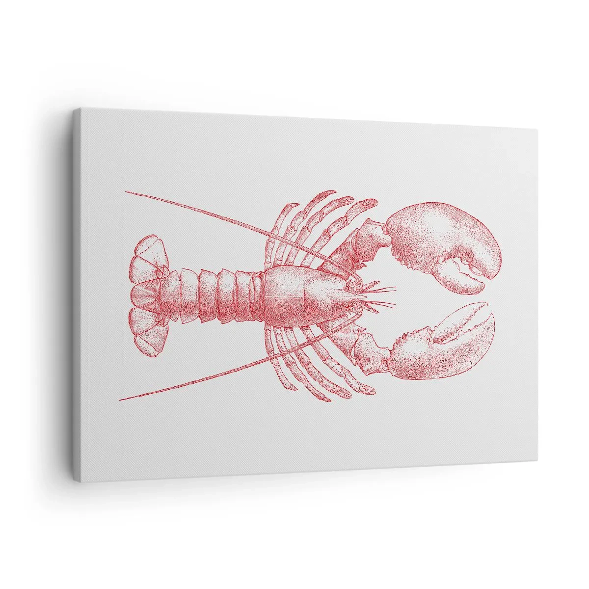 Cuadro sobre lienzo - Impresión de Imagen - La reina de los fondos rocosos - 70x50 cm