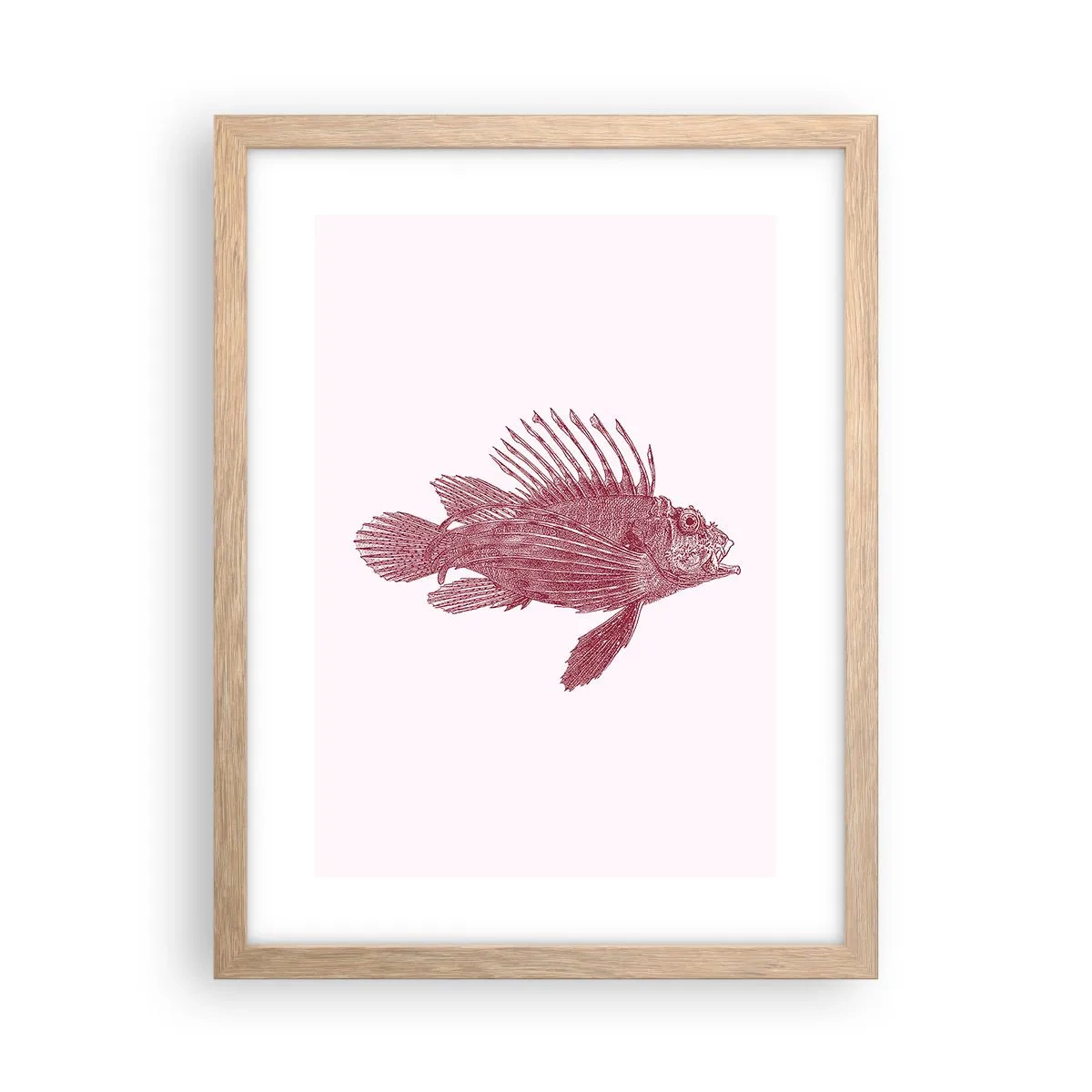 Póster en marco roble claro - Un habitante de aguas exóticas - 30x40 cm