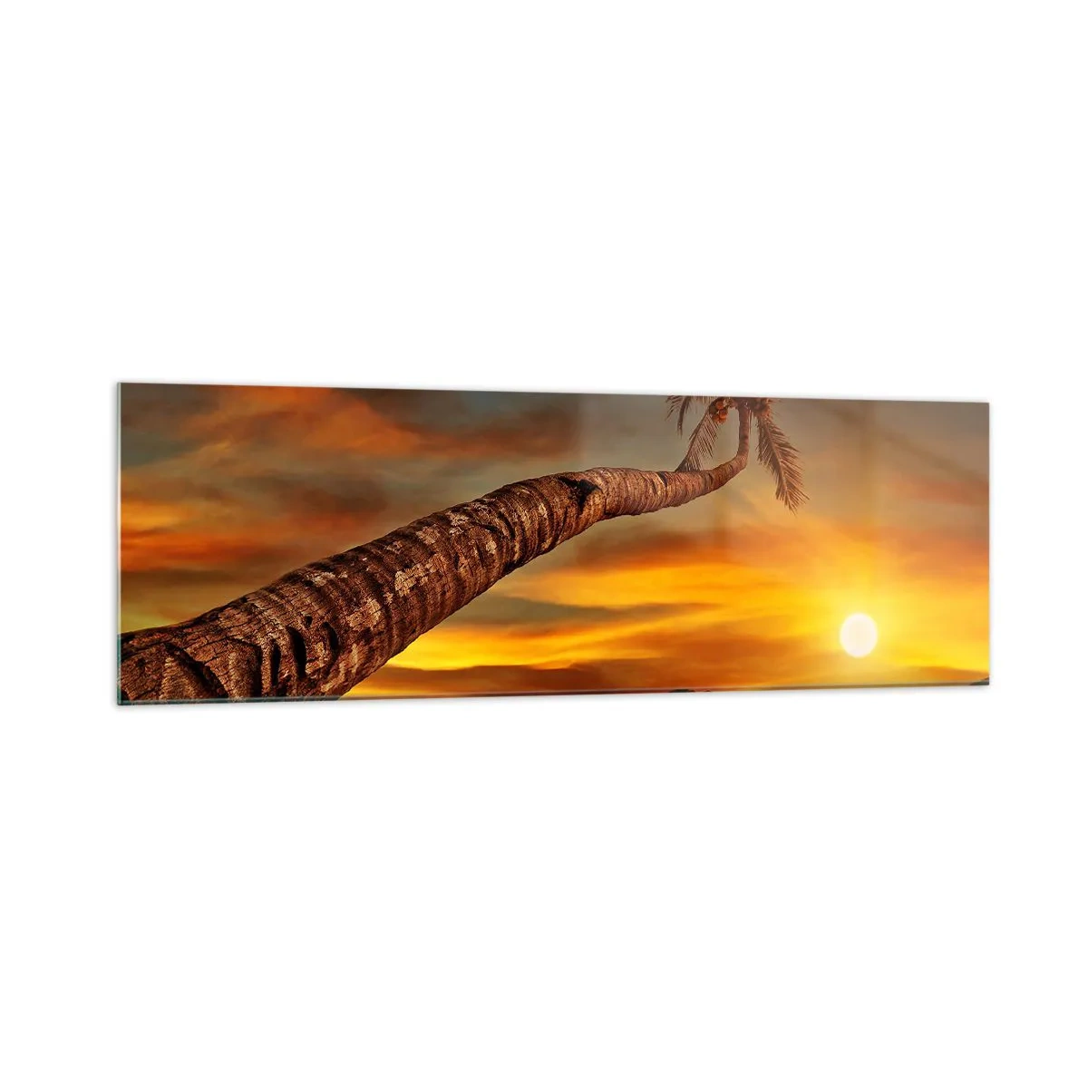 Cuadro sobre vidrio - Impresiones sobre Vidrio - Palmera en la playa al atardecer con vistas al mar - 160x50cm - Vacaciones exóticas, aventura en el Caribe - Decoración de pared moderna para salón y dormitorio ARTTOR