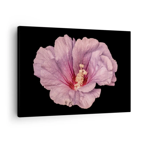 Cuadro sobre lienzo - Impresión de Imagen - Flor rosa sobre fondo negro - 70x50cm - Directo al corazón - Decoración de pared moderna para salón y dormitorio ARTTOR