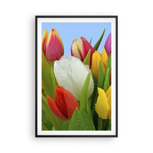 Póster en marco negro - Arco iris floral en gotas de rocío - 61x91 cm