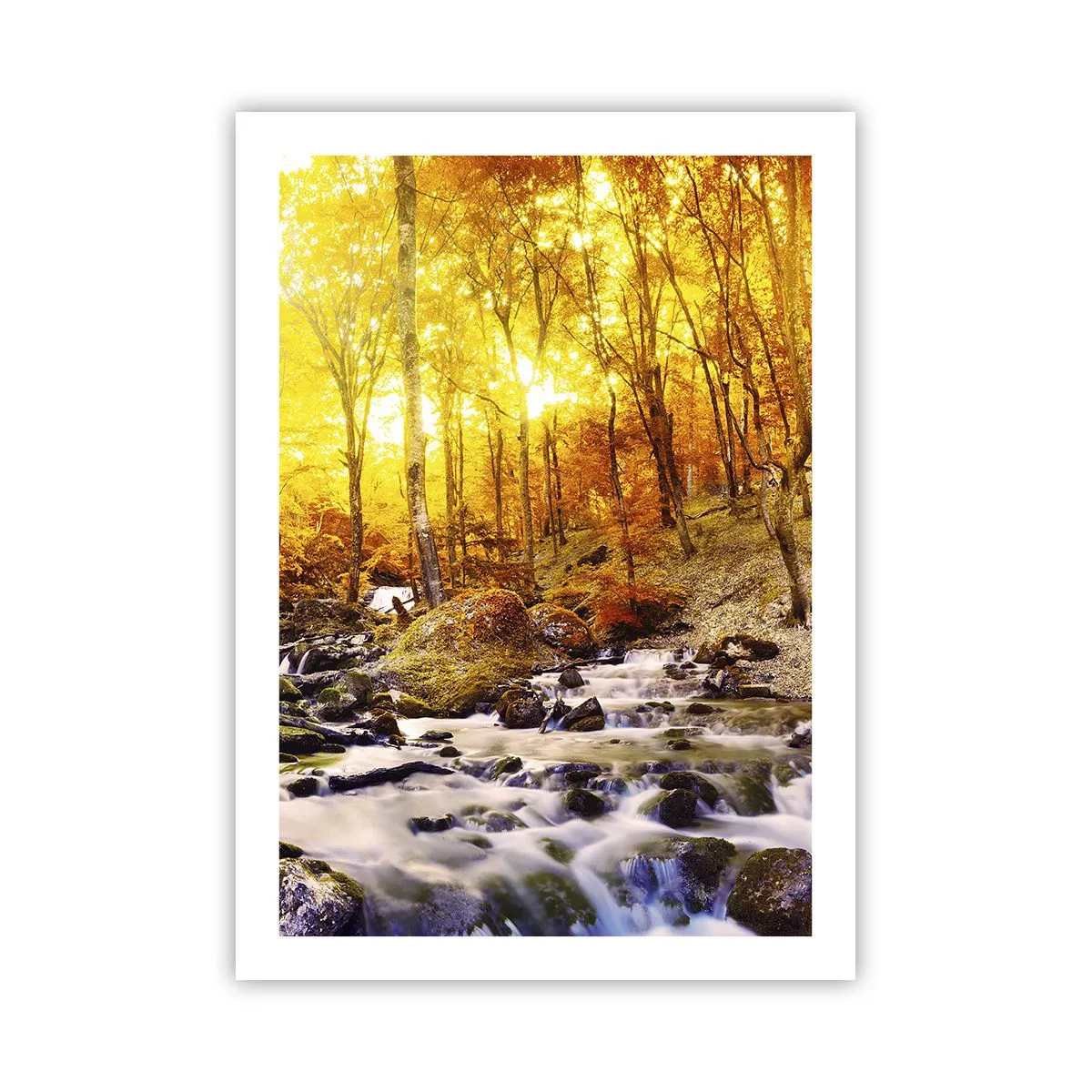 Póster - Bosque otoñal con un arroyo que corre a la luz del sol poniente - 50x70cm - Piedras bañadas en oro y platino - Decoración de pared moderna para salón y dormitorio ARTTOR