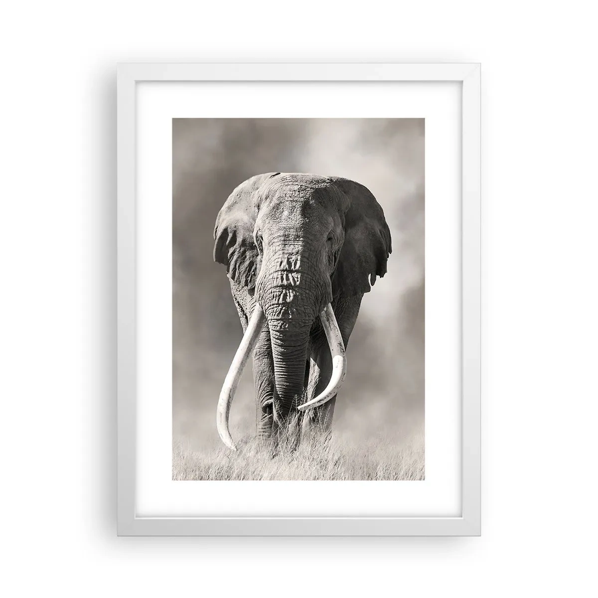 Póster en marco blanco - Patriarca africano - 30x40 cm