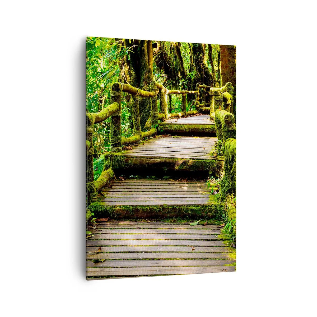 Cuadro sobre lienzo - Impresión de Imagen - Un puente de madera cubierto de musgo en una selva tropical. - 70x100cm - A través de un corredor verde - Decoración de pared moderna para salón y dormitorio ARTTOR