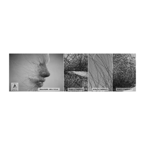 Muestra De Fotomural Standard Eco - Espíritu del viento - Abstracción, cara de mujer, Gráficos - 100x30 cm