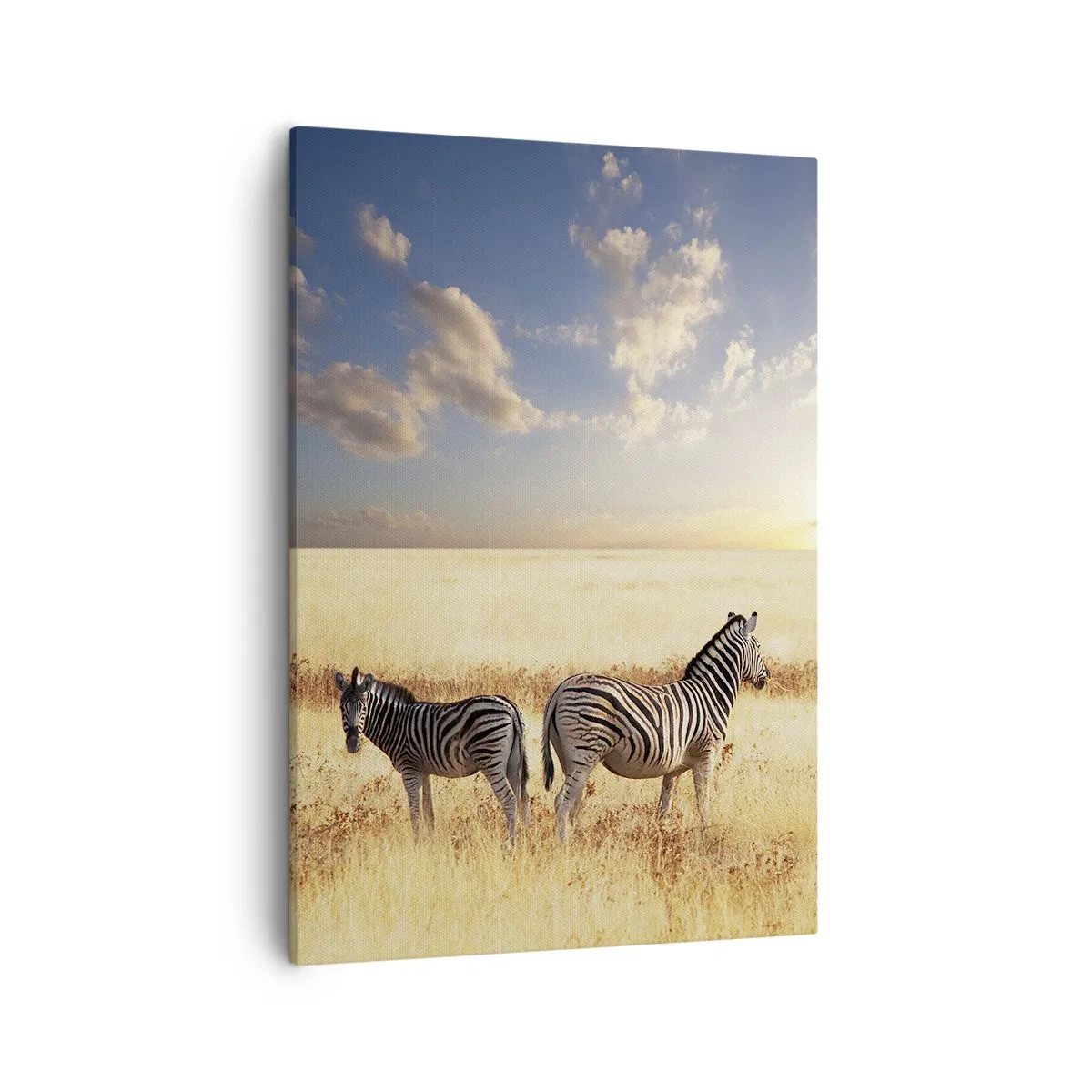 Cuadro sobre lienzo - Impresión de Imagen - Dos cebras en la sabana bajo los rayos del sol poniente. - 50x70cm - Vete, no perturbes la paz - Decoración de pared moderna para salón y dormitorio ARTTOR