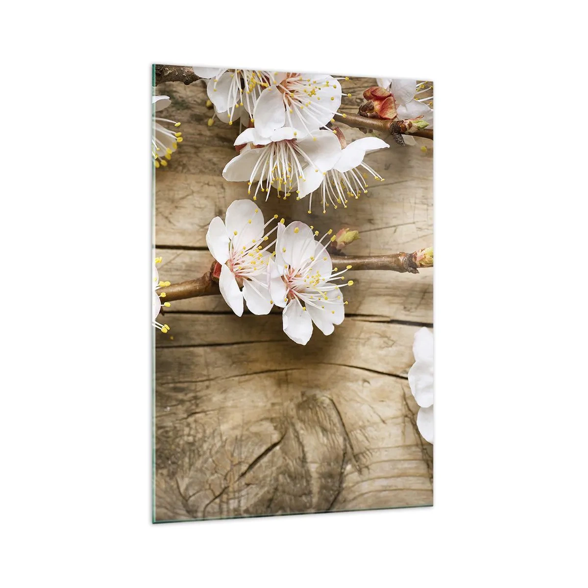 Cuadro sobre vidrio - Impresiones sobre Vidrio - Ramas de cerezos en flor sobre un fondo de tabla de madera - 70x100cm - Se acerca la primavera - Decoración de pared moderna para salón y dormitorio ARTTOR