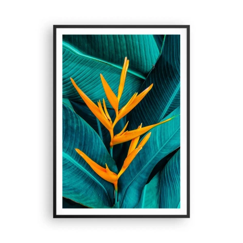 Póster en marco negro - Flor del Edén - 70x100 cm