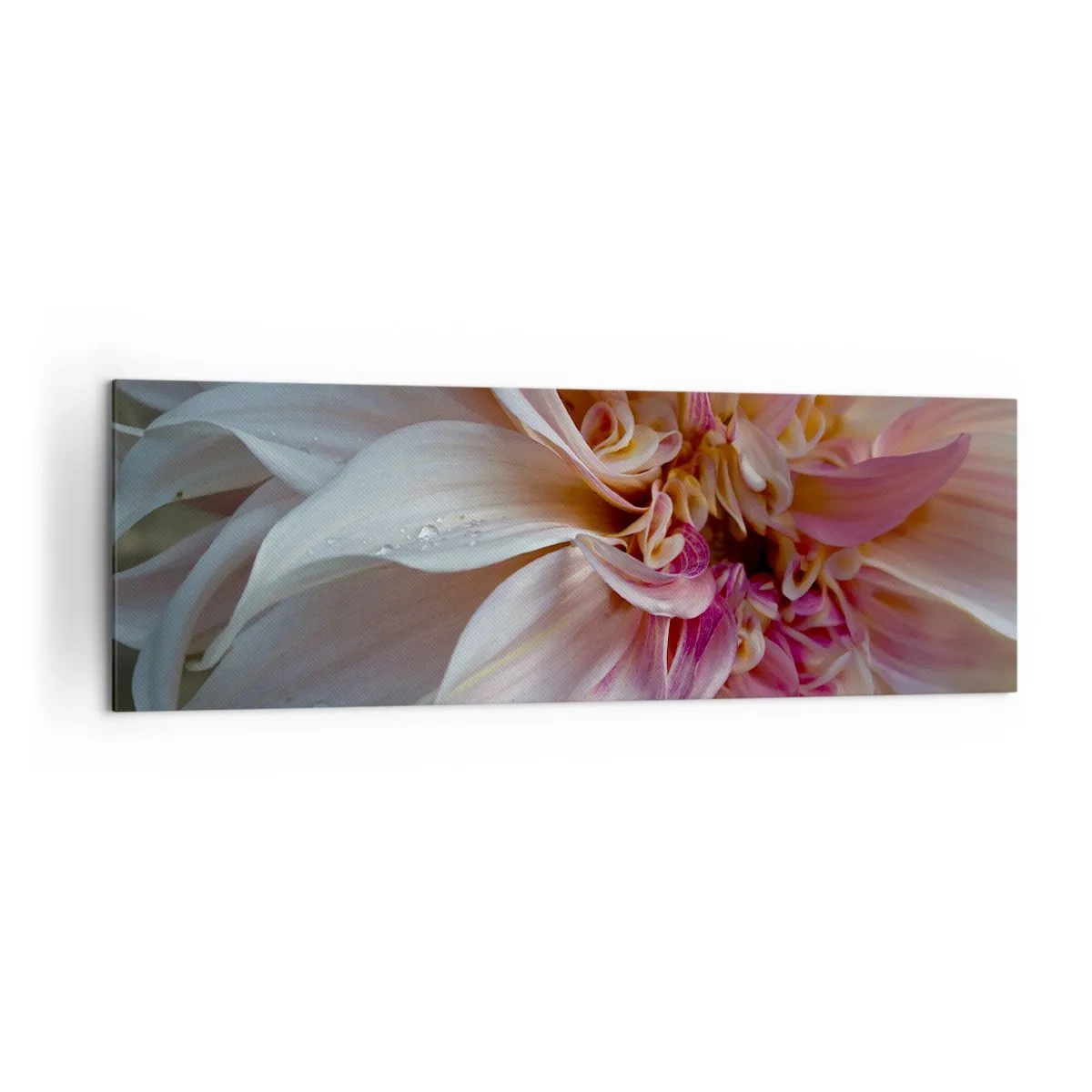 Cuadro sobre lienzo - Impresión de Imagen - Primer plano de delicados pétalos de flores rosas con gotas de agua. - 160x50cm - Frescura floreciente - Decoración de pared moderna para salón y dormitorio ARTTOR