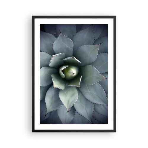 Póster en marco negro - Un primer plano de las hojas simétricas de una suculenta en tonos verdes. - 50x70cm - Perfección natural - Decoración de pared moderna para salón y dormitorio ARTTOR