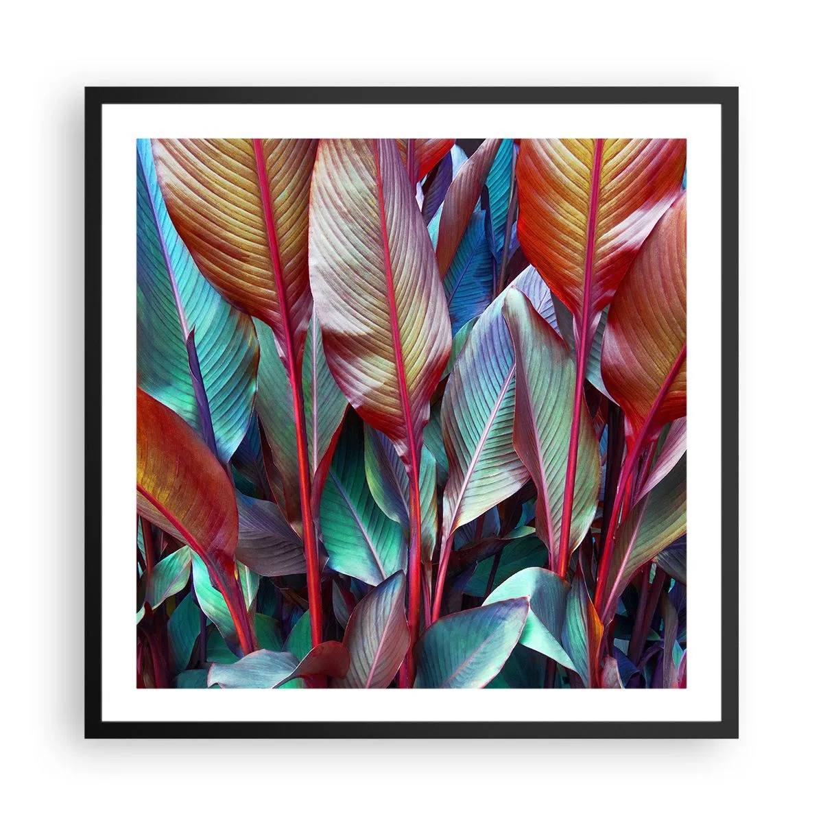 Póster en marco negro - Un matorral de colores - 60x60 cm