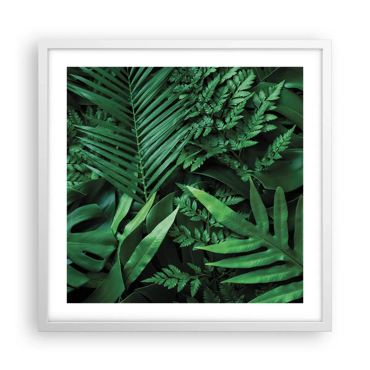 Póster en marco blanco - Abrazo verde - 50x50 cm