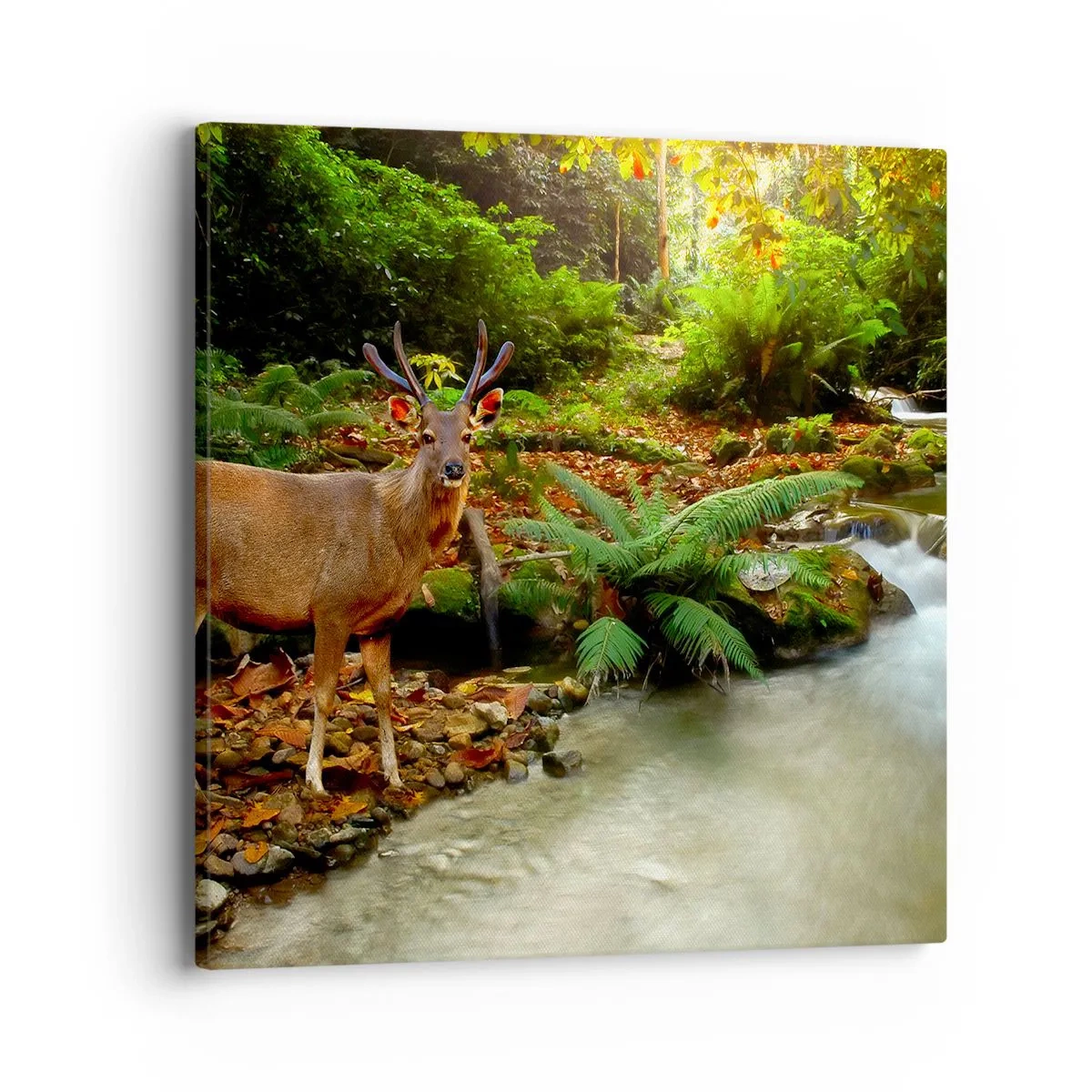 Cuadro sobre lienzo - Impresión de Imagen - Bienvenido a mi mundo - 40x40 cm