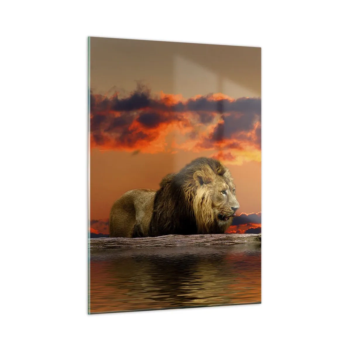 Cuadro sobre vidrio - Impresiones sobre Vidrio - Un león con el sol poniente como telón de fondo - 50x70cm - Rey de la naturaleza - Decoración de pared moderna para salón y dormitorio ARTTOR