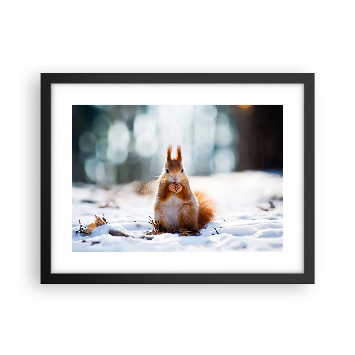 Póster en marco negro - ¿Qué estás mirando? - 40x30 cm