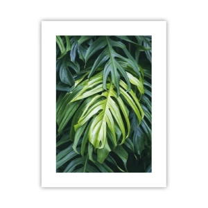 Póster - Sumérjase en la frescura - 30x40 cm