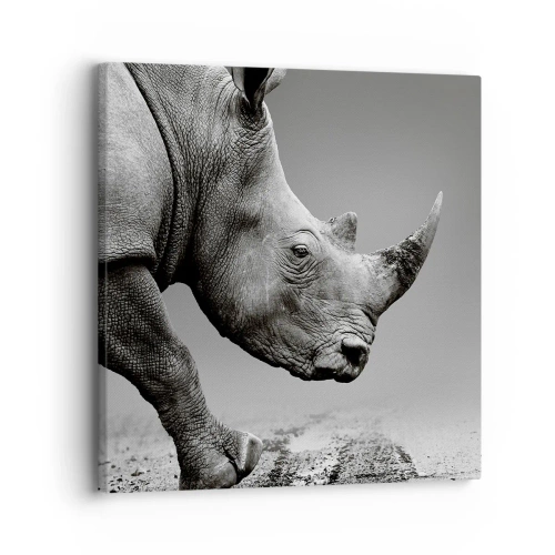 Cuadro sobre lienzo - Impresión de Imagen - Fuerza imparable - 30x30 cm