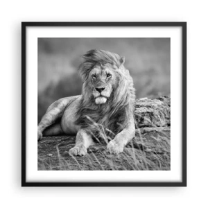 Póster en marco negro - La siesta real - 50x50 cm