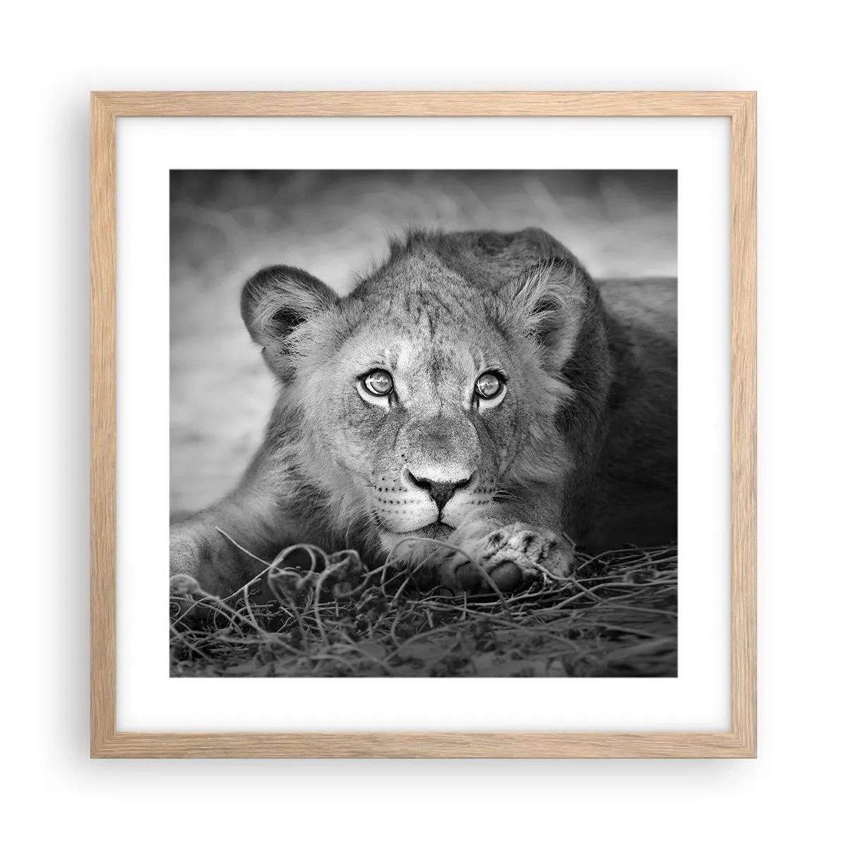 Póster en marco roble claro - Un cachorro real - 40x40 cm