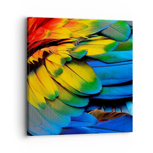 Cuadro sobre lienzo - Impresión de Imagen - Ave del paraíso - 30x30 cm