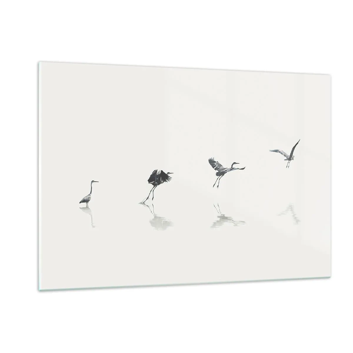 Cuadro sobre vidrio - Impresiones sobre Vidrio - Siluetas de cuatro pájaros moviéndose sobre el agua - 120x80cm - Cuatro sencillos pasos para despegar - Decoración de pared moderna para salón y dormitorio ARTTOR