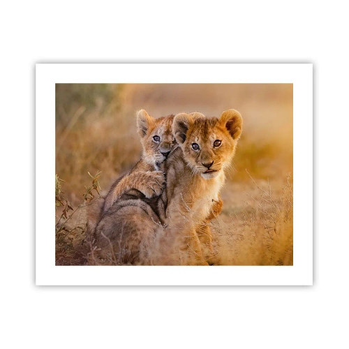 Póster - ¡No molestar! Nos estamos divirtiendo - 50x40 cm