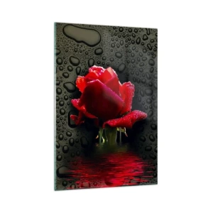 Cuadro sobre vidrio - Impresiones sobre Vidrio - Rosa roja con gotas de agua sobre un fondo oscuro - 80x120cm - Rojo y negro - Decoración de pared moderna para salón y dormitorio ARTTOR