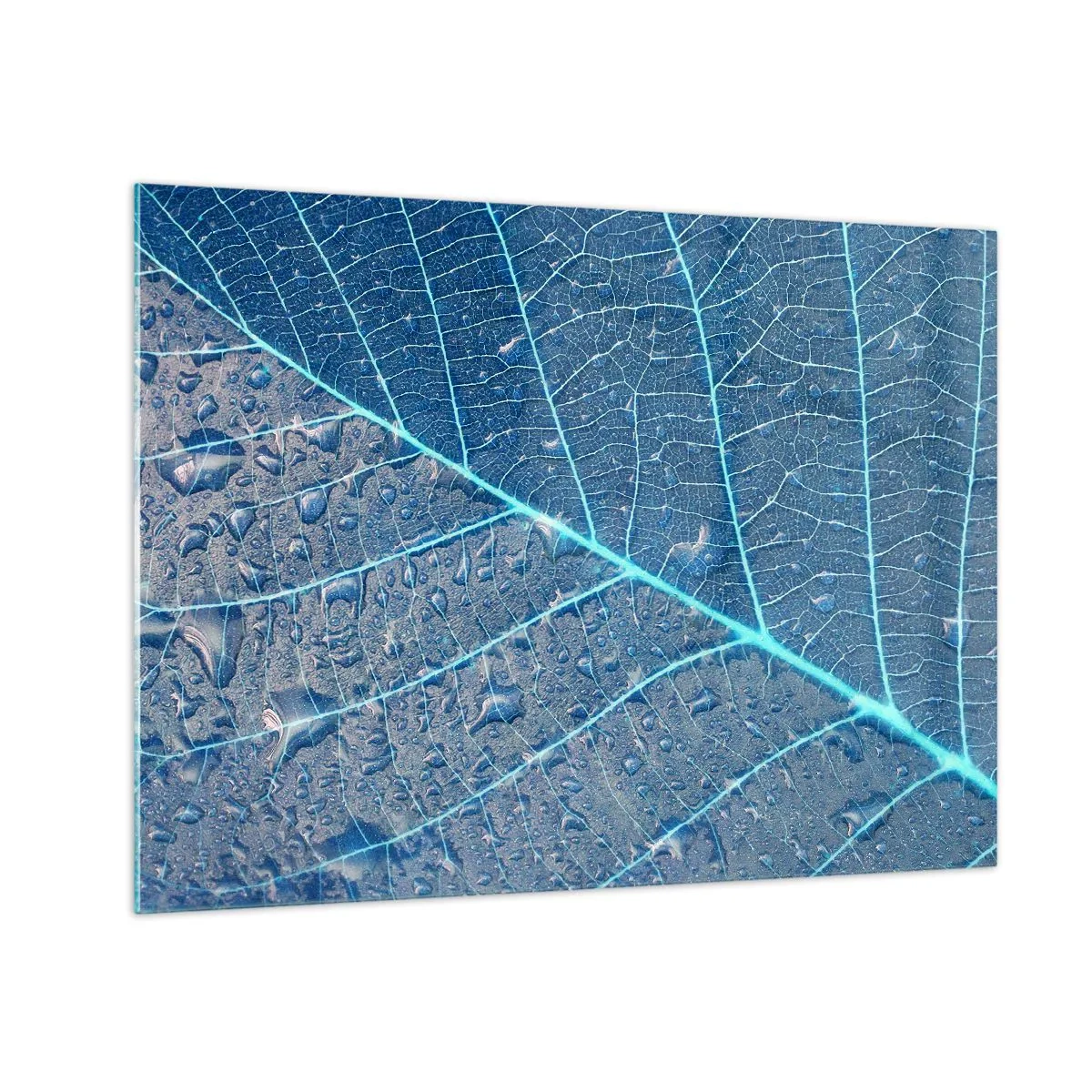 Cuadro sobre vidrio - Impresiones sobre Vidrio - Fotografía macro de una hoja con gotas de agua en tonos azules. - 70x50cm - Vida en el azul - Decoración de pared moderna para salón y dormitorio ARTTOR