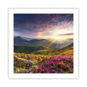 Póster - La frescura de una mañana de montaña - 50x50 cm