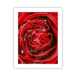 Póster - En gotas de rocío - 40x50 cm