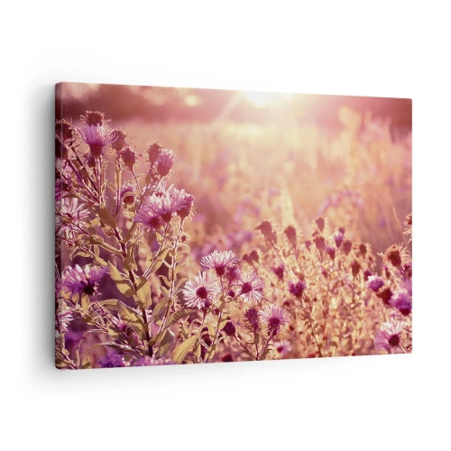 Cuadro sobre lienzo - Impresión de Imagen - Pradera a la luz del sol poniente - 70x50cm - Antes de que se acabe el verano - Decoración de pared moderna para salón y dormitorio ARTTOR