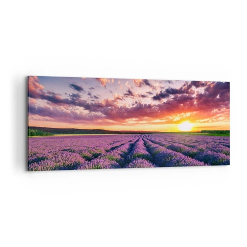 Cuadro sobre lienzo - Impresión de Imagen - El mundo de la lavanda - 100x40 cm