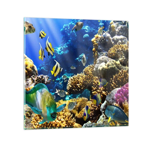 Cuadro sobre vidrio - Impresiones sobre Vidrio - Vacaciones submarinas - 40x40 cm