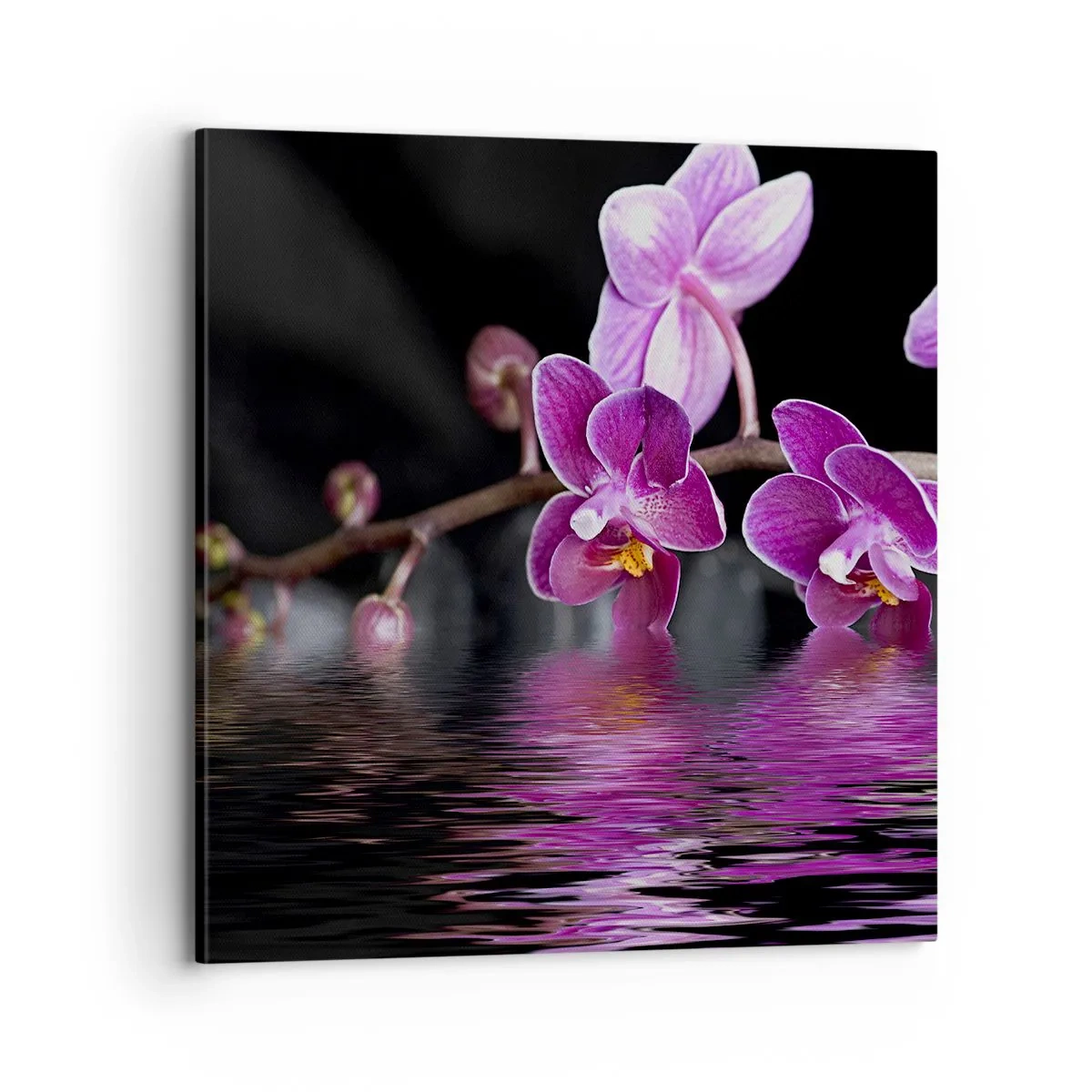 Cuadro sobre lienzo - Impresión de Imagen - Un reflejo lila de la belleza - 70x70 cm