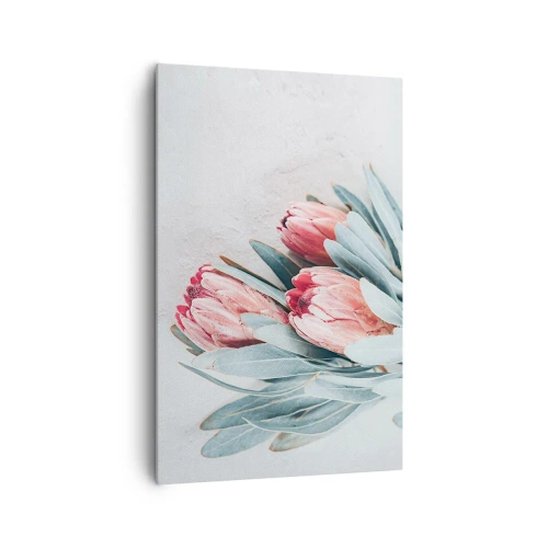 Cuadro sobre lienzo - Impresión de Imagen - Sutiles flores de protea rosa sobre un fondo claro. - 80x120cm - Avergonzada de su propia belleza - Decoración de pared moderna para salón y dormitorio ARTTOR