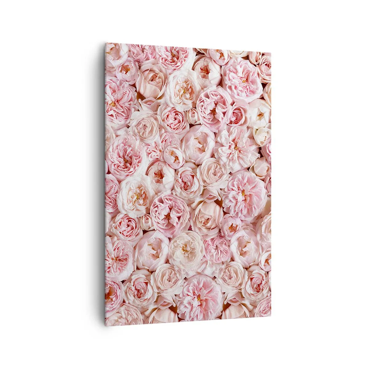 Cuadro sobre lienzo - Impresión de Imagen - Delicadas rosas en tonos rosa por toda la superficie. - 80x120cm - Salpicado de rosas - Decoración de pared moderna para salón y dormitorio ARTTOR