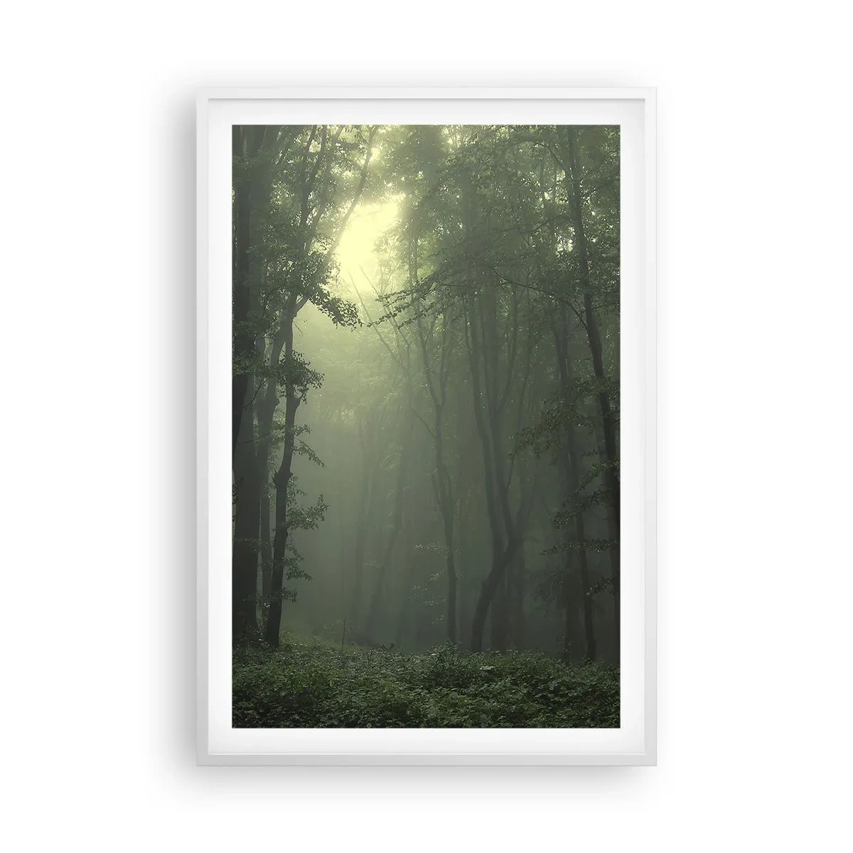 Póster en marco blanco - Antes de que se despierte el bosque - 61x91 cm