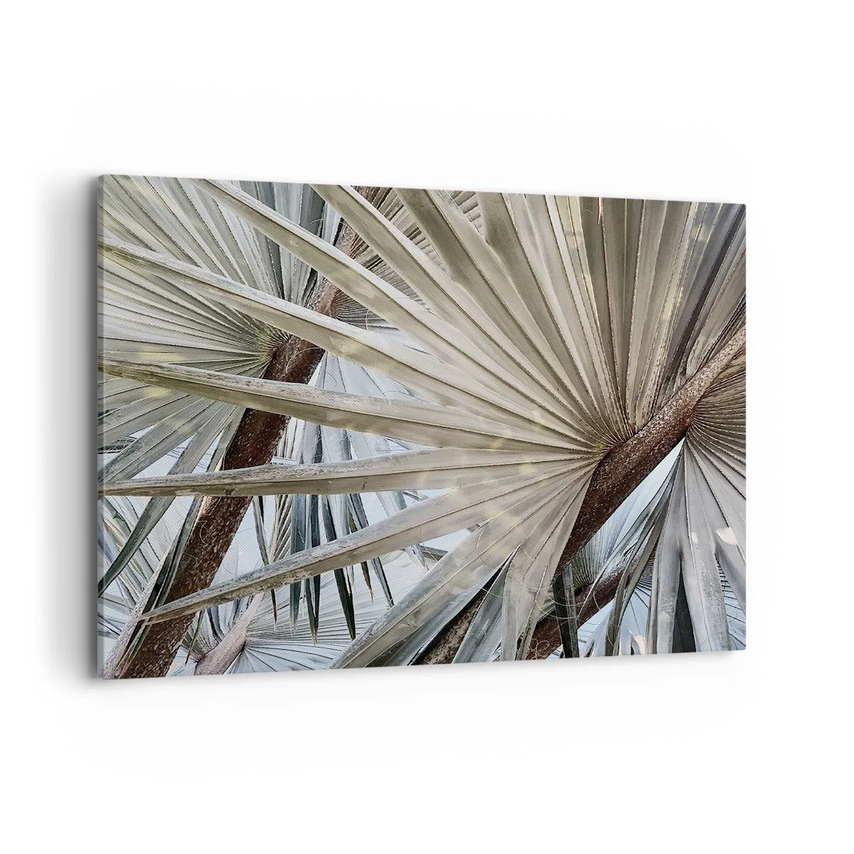 Cuadro sobre lienzo - Impresión de Imagen - Primer plano de hojas de palma en tonos naturales de verde. - 100x70cm - Abanicos en el trópico - Decoración de pared moderna para salón y dormitorio ARTTOR