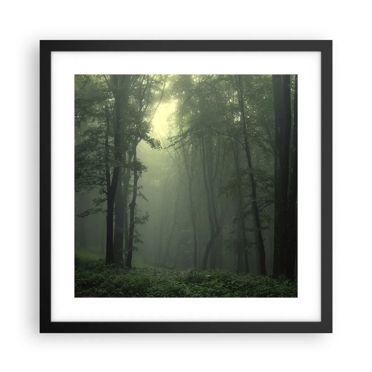 Póster en marco negro - Antes de que se despierte el bosque - 40x40 cm