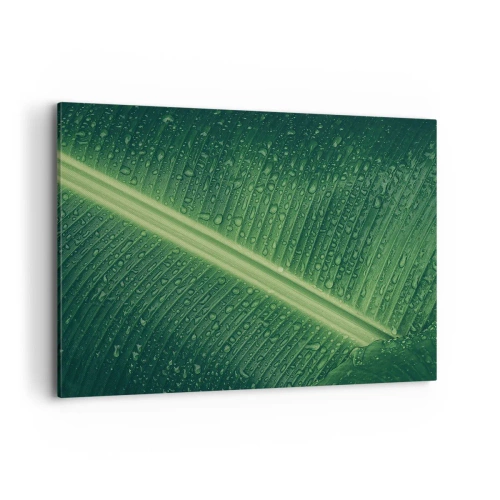 Cuadro sobre lienzo - Impresión de Imagen - Una hoja verde con gotas de agua en su superficie. - 100x70cm - Estructura del verde - Decoración de pared moderna para salón y dormitorio ARTTOR