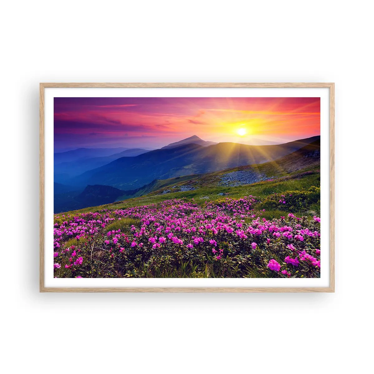 Póster en marco roble claro - ... Y el aroma a hierbas está por todas partes - 100x70 cm