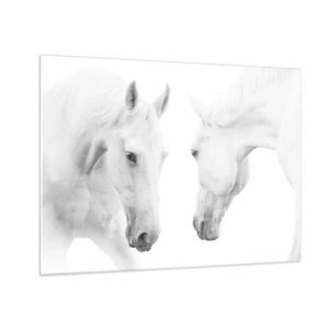 Cuadro sobre vidrio - Impresiones sobre Vidrio - Dos caballos blancos uno frente al otro sobre un fondo claro. - 70x50cm - ¿Es esto realmente la amistad...? - Decoración de pared moderna para salón y dormitorio ARTTOR
