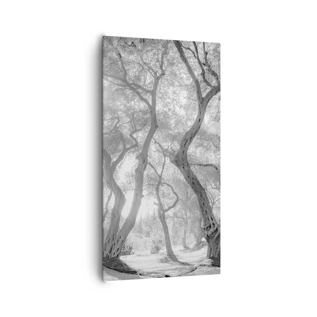 Cuadro sobre lienzo - Impresión de Imagen - En un olivar - 65x120 cm