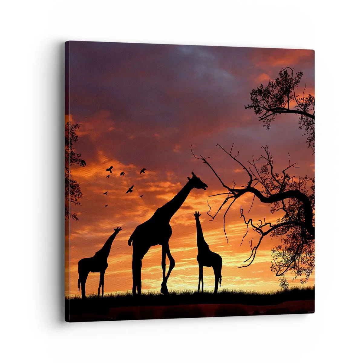 Cuadro sobre lienzo - Impresión de Imagen - Una pequeña cena con tus seres queridos - 40x40 cm